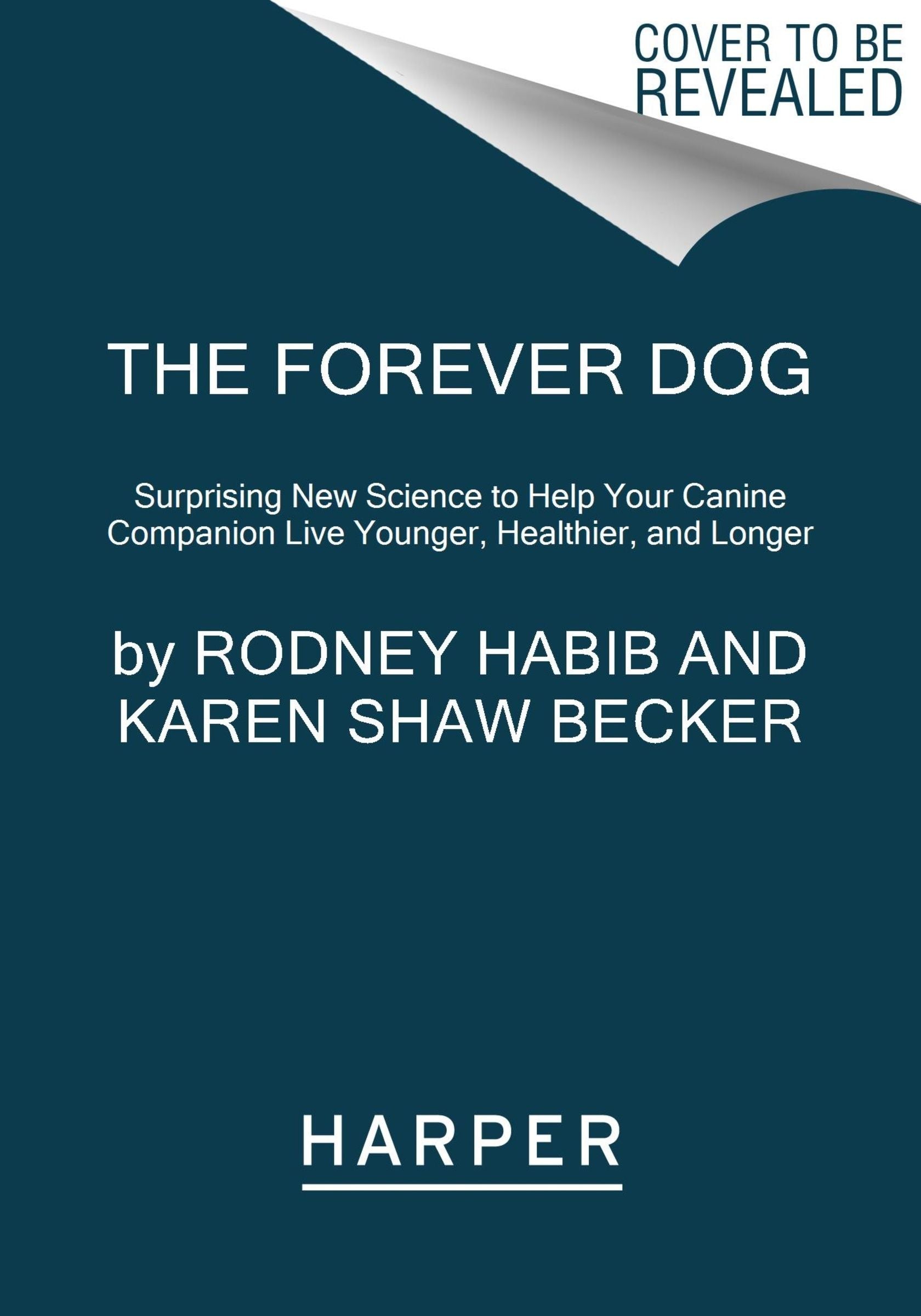 The Forever Dog (9780063002616)